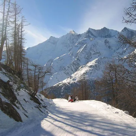 Daire Alpenstern Distel By Interhome