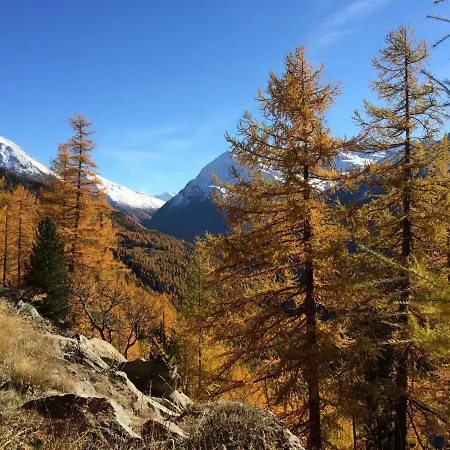 Alpenstern Distel By Interhome Saas-Grund