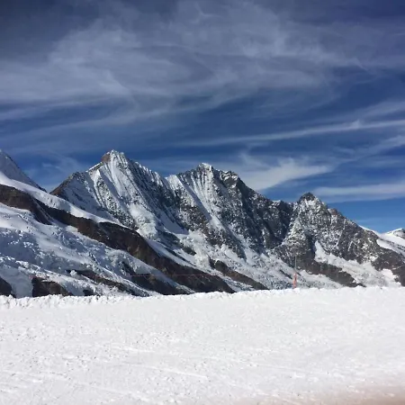 Alpenstern Distel By Interhome *