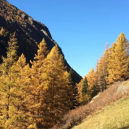 Alpenstern Distel By Interhome * Saas-Grund